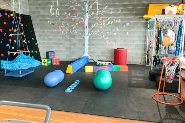 Therapy space set up with a swing, climbing wall, beam and balls
